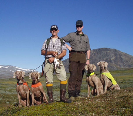 Ripjakt 2004 i Ammarnäs med Steve Chant, Kennel Cadette, England