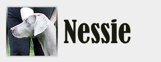 Nessie