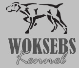 Woksebs Kennel